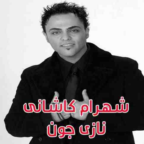 دانلود آهنگ نازی همدم من