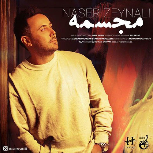 دانلودآهنگ مجسمه ناصر زینعلی