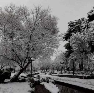 دانلود آهنگ لری خدا هوار هوا سرده از فردین انگزی و ایمان رشیدی