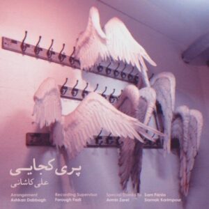 علی کاشانی به نام پری کجایی
