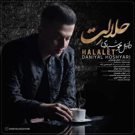 دانلود آهنگ دانیال هوشیاری حلالت