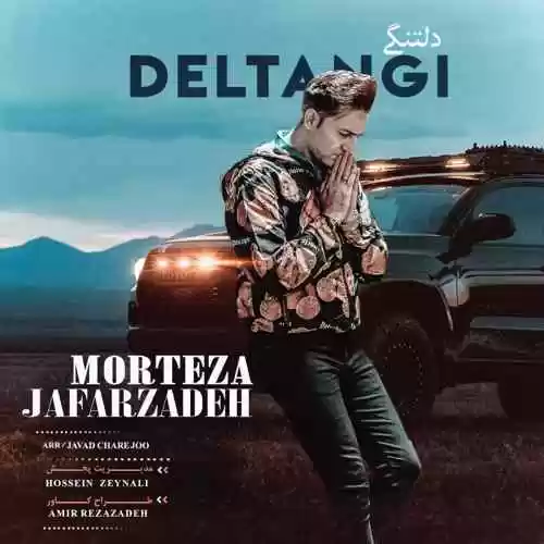 دانلود آهنگ مرتضی جعفرزاده دلتنگی دانلود آهنگ مرتضی جعفرزاده دلتنگی