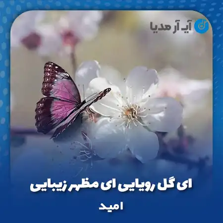 دانلود آهنگ ای گل رویایی ای مظهر زیبایی