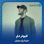 دانلود آهنگ سینا پارسیان کبوتر دلم