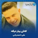 دانلود آهنگ کاش یبار دیگه چشماتو وقت رفتن میدیدم