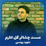 دانلود آهنگ مست چشاتم گل انارم داوود یونسی