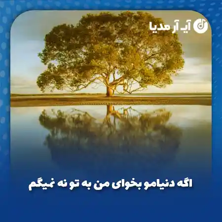 دانلود آهنگ اگه دنیامو بخوای من به تو نه نمیگم
