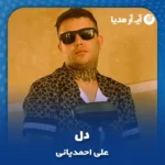 دانلود آهنگ علی احمدیانی دل