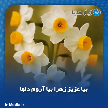 دانلود آهنگ بیا عزیز زهرا بیا آروم دلها