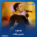 دانلود آهنگ محسن یگانه تو خوب