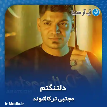 دانلود آهنگ مجتبی ترکاشوند دلتنگتم