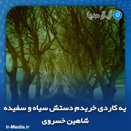 دانلود آهنگ یه کاردی خریدم دستش سیاه و سفیده