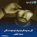 دانلود آهنگ گل به چه کارم میاد تو خودت گلی محمد لطفی