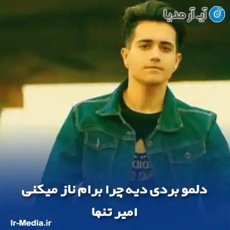 دانلود آهنگ دلمو بردی دیه چرا برام ناز میکنی امیر تنها
