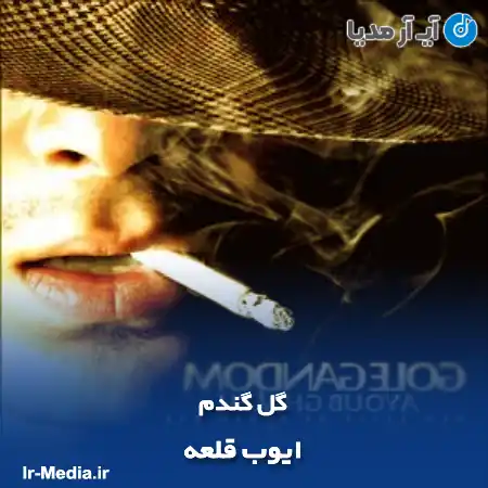 دانلود آهنگ ایوب قلعه گل گندم