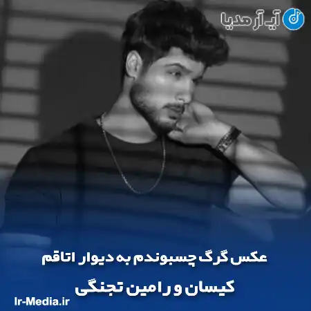 دانلود آهنگ عکس گرگ چسبوندم به دیوار اتاقم کیسان