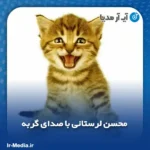 دانلود آهنگ محسن لرستانی با صدای گربه
