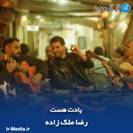 دانلود آهنگ رضا ملک زاده یادت هست