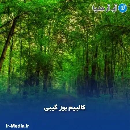 دانلود آهنگ ترکی کالبیم بوز گیبی