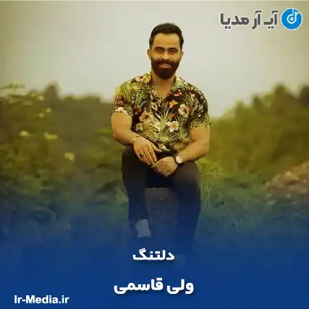 دانلود آهنگ ولی قاسمی دلتنگ