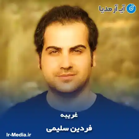 دانلود آهنگ فردین سلیمی غریبه