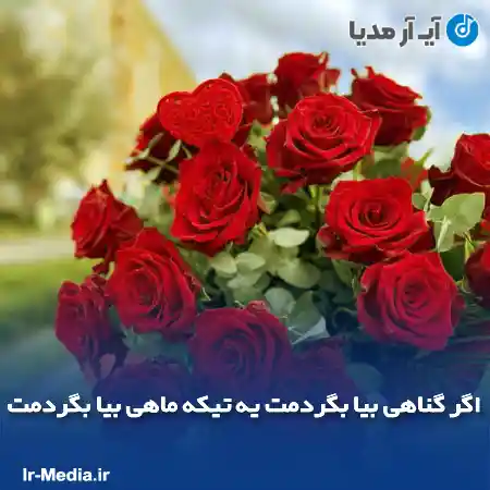دانلود آهنگ اگر گناهی بیا بگردمت یه تیکه ماهی بیا بگردمت