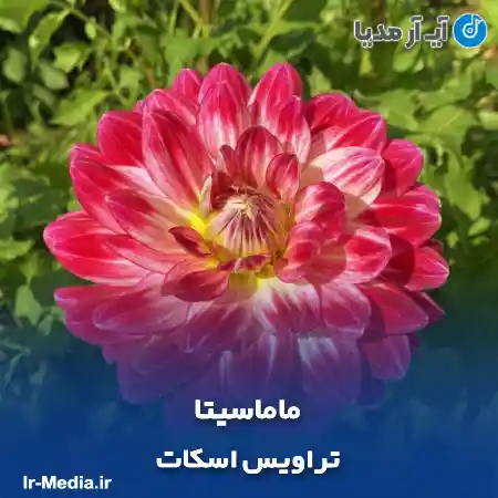 دانلود آهنگ ماماسیتا تراویس اسکات