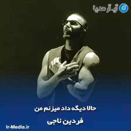 دانلود آهنگ حالا دیگه داد میزنم من فردین ناجی