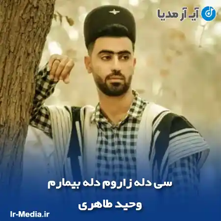 دانلود آهنگ سی دله زاروم دله بیمارم وحید طاهری