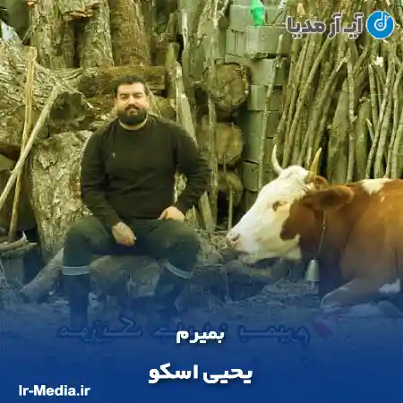 دانلود آهنگ بمیرم بمیرم ای یار نادون بمیرم یحیی اسکو