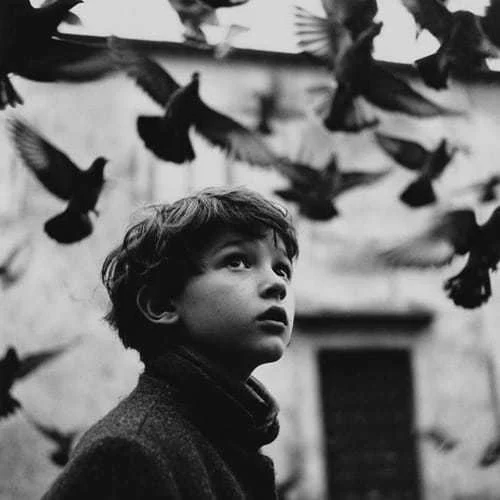 دانلود آهنگ دل من گرفته کاش یکم بارون بباره میر احمد