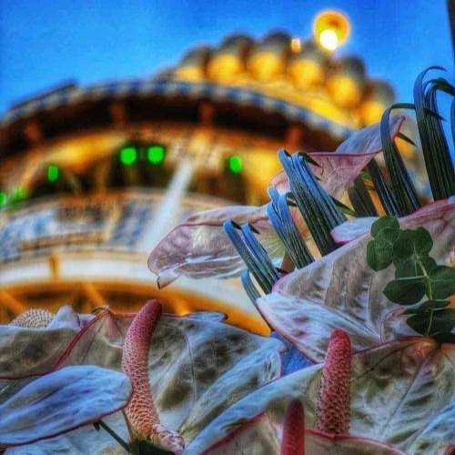 دانلود آهنگ تا جلو چشام رو سینش نشست من دلم شکست مرتضی باب