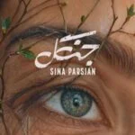 دانلود آهنگ وقتی چشات یعنی جنگل سینا پارسیان