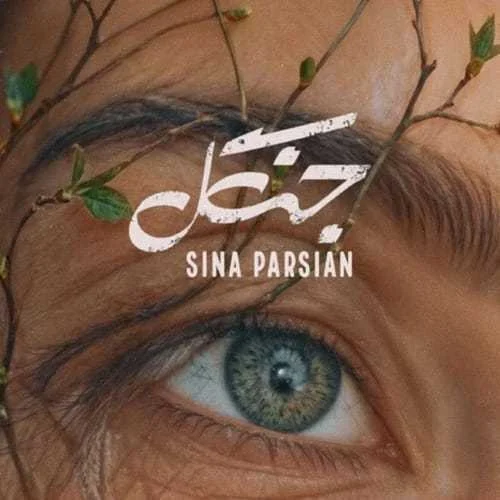 دانلود آهنگ وقتی چشات یعنی جنگل سینا پارسیان