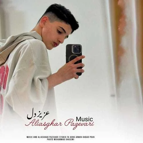 دانلود آهنگ منه تنها نلی تو عزیز دلی علی اصغر پازواری