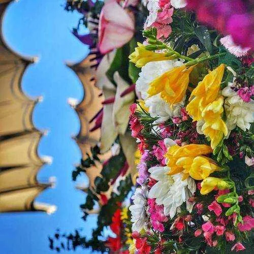 دانلود مداحی سلام امام زمان سلام عزیز دلم مهرداد ملکی