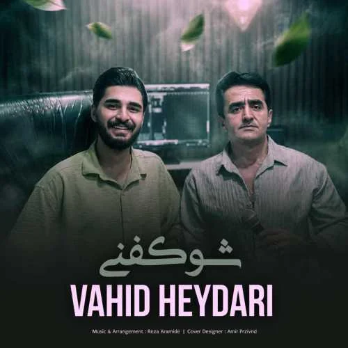 دانلود آهنگ نشو نشو شو کفنی وحید حیدری
