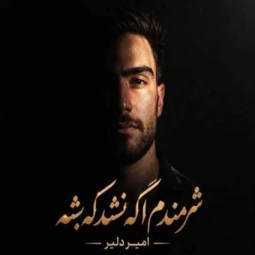 دانلود آهنگ شرمندم اگه نشد که بشه امیر دلیر