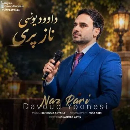 دانلود آهنگ کرمانجی ناز پری داوود یونسی